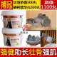 Bad Crown Crown Young Pireeons Contest и Phosphorus Calcium Essence Pill