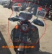 Модель Bustle Buple Bulle Cavaliers