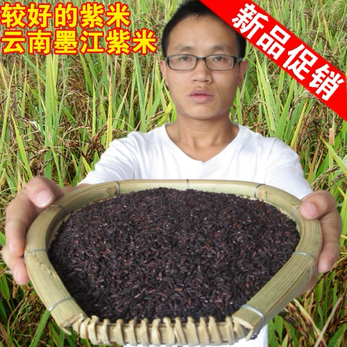 Специальная модель Yunnan Mojiang Purple Gee Mi Старое разнообразие.