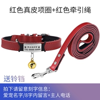 Красный воротник+тяговая веревка (тег скользящие деньги)