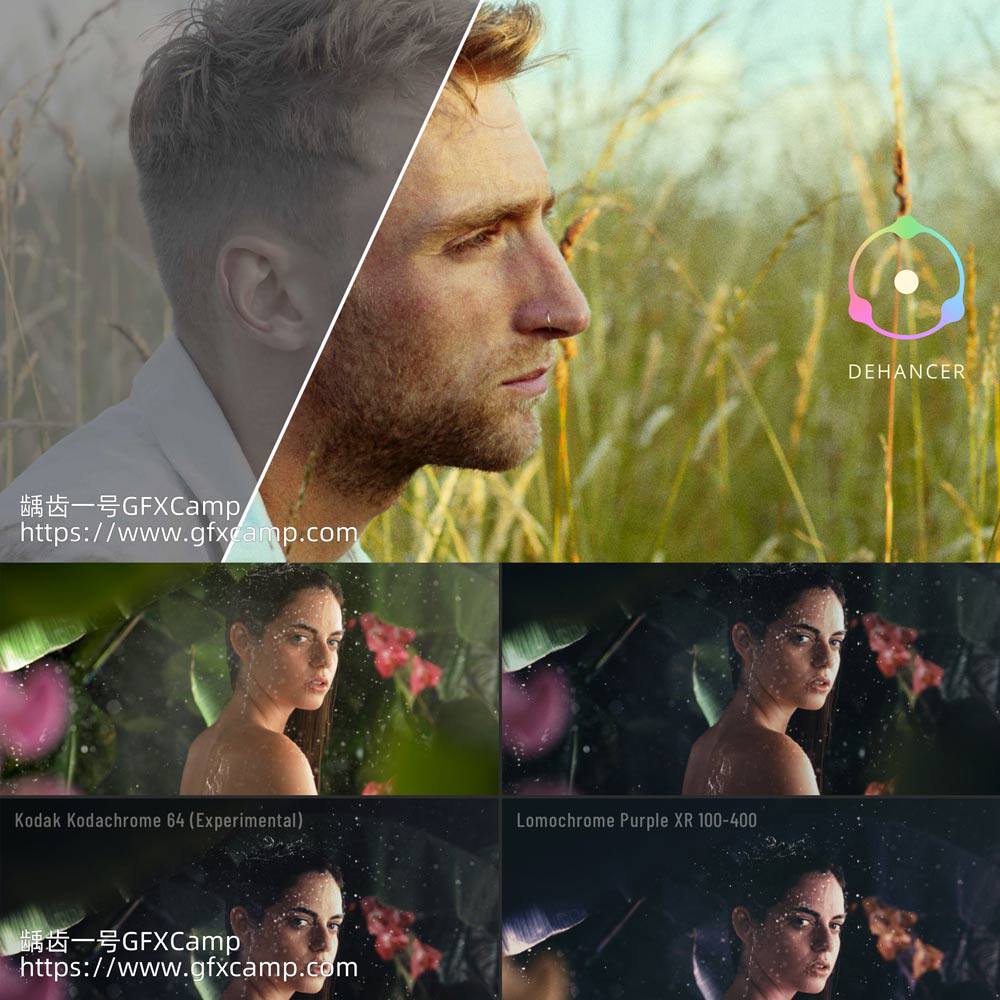 胶片模拟视频调色插件 Dehancer Pro 达芬奇/FCPX/AE/PR/PS Win/Mac-天天素材网