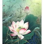 Su thêu DIY kit Li Xiaoming tỉ mỉ vẽ loạt bột sen rõ ràng hình ảnh hoa sen tự học thêu tranh trang trí - Bộ dụng cụ thêu