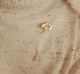 Nhật Bản và Hàn Quốc khóa cổ áo Giáng sinh đơn giản trâm cài unisex corsage pin phù hợp với cổ áo sơ mi cổ áo với đồ trang sức trang trí - Trâm cài