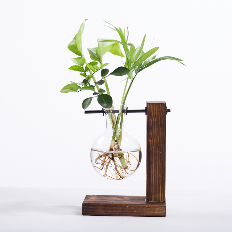 创意木架水培绿萝植物室内绿植盆栽水养小玻璃花瓶