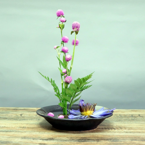 Расположение цветов японская стиль простота керамический цветок развязает чайное сиденье дзен дзен будет расцветать Дао Сяоюань. Трящное китайское цветочное искусство, чтобы отправить меч,