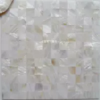 25 больших частиц натуральных белых раковинов