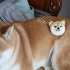 Шерстяная пряжа