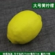 Большой, лимонный