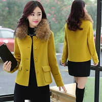 Áo khoác len nữ ngắn phần phiên bản Hàn Quốc của Slim slim mùa thu và mùa đông Áo khoác Nizi 2018 hoang dã áo len Hàn Quốc áo khoác nữ cao cấp
