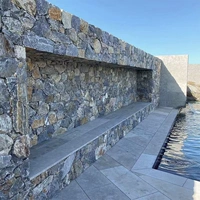 Тайханг Эш не бесплатна доставки