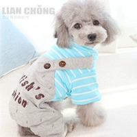 Qingcang Dog Four -Put Teddy Clothing Spring и осенняя головоломка маленькие собаки маленькие домашние животные густая зима