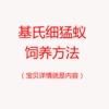 Товары от 蚂蚁世界