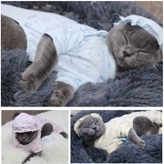 Bộ đồ ngủ bằng vải bông cho chó mèo quần áo mùa thu và mùa đông tải Teddy VIP hơn gấu chiến đấu với quần áo trùm đầu - Quần áo & phụ kiện thú cưng