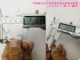 Head Headhook 10G*50 капсул