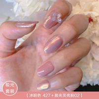 Ice Pink-427+Aurora Shell Powder 02