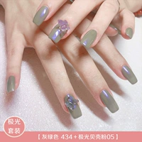 Серо-зеленый-434 + aurora shell powder 05