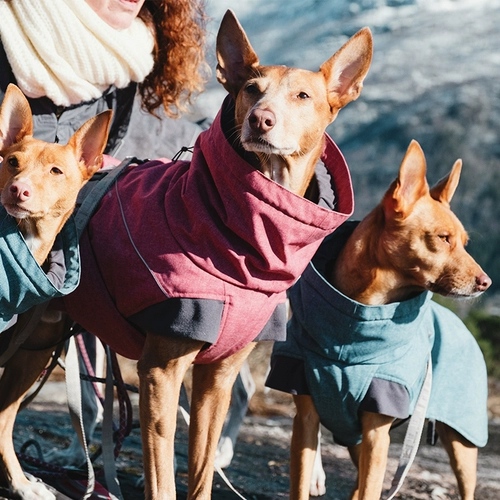 Hurtta Tuo Tuo Expedition до маленькой средней одежды для собак с собакой с большими собаками толстые зимние хлопковые куртки