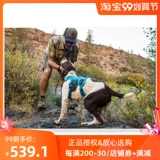 Rafewell Wang Dog's Dog's Beta Beta RW Dog Bare сообщил о Тедди Golden Shiba Inu La Dardy Teddy Products