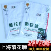 Hoa cúc thương hiệu mùa hè cotton trắng trung niên T-Shirt ngắn tay áo cotton 60 vest nam áo sơ mi