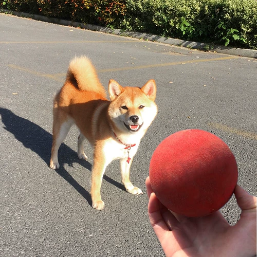 Игрушка для собак, увядающий устойчивый эластичный мяч, средний лабрадор лабрадор Золотая плюшевая плюшка для собаки собака игра в мяч мяч мяч мяч мяч