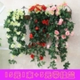 Trang trí tường giả hoa mây treo tường mô phỏng hoa hồng trong nhà phòng khách treo tường treo hoa lan treo giỏ hoa treo - Hoa nhân tạo / Cây / Trái cây cây hoa giả