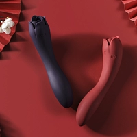 Миз вибрирует банддрские женские секс -игрушки мастурбируют женские кульминации посвященные частные части сексуальных особенностей