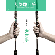 Дорожные суб -полюсный