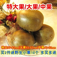 Guilin Yongfu Luo Han Fruit Disced Fruit Fruit/Big Fruit/Fruit 24 Притворяйтесь, что купите две копии, и купить два бесплатных диких фруктов 10