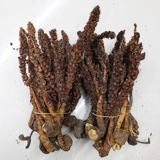 Горная трава в Чанбай Лао Ронг Ронгжу Винной суп из колонны в качестве пивоварения чая обратно в весеннюю траву 100 грамм бесплатной доставки