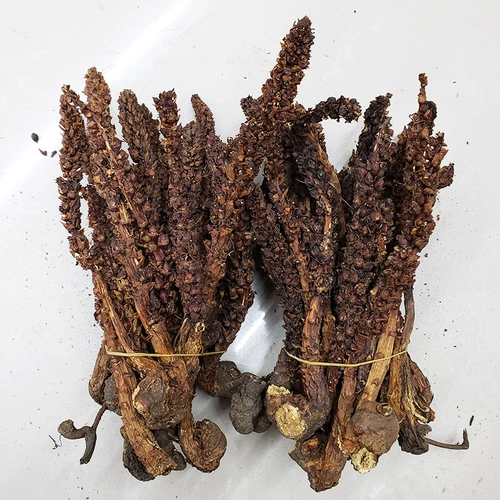 Горная трава в Чанбай Лао Ронг Ронгжу Винной суп из колонны в качестве пивоварения чая обратно в весеннюю траву 100 грамм бесплатной доставки