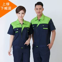 Зеленые клыки тибетские синие