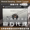 Товары от 飞来音电脑音乐技术