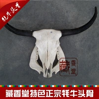 Аутентичный тибетский як -череп из бычья голова характерный