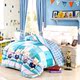 Phim hoạt hình dày mùa đông quilt giường đơn 0.9 M ký túc xá sinh viên là lõi 200 * 150 chăn mùa xuân và mùa thu là đập tan 1.5 mét Quilts