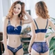 Không có vòng thép ren dày ngực nhỏ áo ngực nửa cup bra set sexy tập trung vào các cô gái sinh viên đồ lót