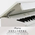 Đàn piano điện RP-28 88 phím đàn piano điện tử kỹ thuật số thông minh dành cho người mới bắt đầu luyện tập lớp gỗ rắn - dương cầm dương cầm dương cầm