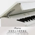 Đàn piano điện RP-28 88 phím đàn piano điện tử kỹ thuật số thông minh dành cho người mới bắt đầu luyện tập lớp gỗ rắn - dương cầm