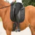 Giày cao cổ dành cho người lớn luyện tập cưỡi ngựa bằng da đầy đủ Môn thể thao cưỡi ngựa