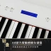 Đàn piano điện RP-28 88 phím đàn piano điện tử kỹ thuật số thông minh dành cho người mới bắt đầu luyện tập lớp gỗ rắn - dương cầm dương cầm dương cầm