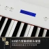 Đàn piano điện RP-28 88 phím đàn piano điện tử kỹ thuật số thông minh dành cho người mới bắt đầu luyện tập lớp gỗ rắn - dương cầm