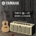 Guitar cụ loa thr10 acoustic guitar electric bass electric piano âm thanh trống