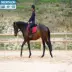 Ngựa reins cưỡi ngựa thể thao bền điều chỉnh dây da fouganza Môn thể thao cưỡi ngựa