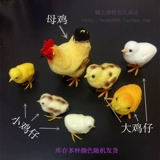 勪 勪 豢 鐪 鐪 ′ ′ ′ ′ 粩 粩 嶉 鍏  灏 灏 姩 姩 鐗 ╄ ℃ ℃ Fighting Girls