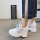 2018 mùa hè mới dày dưới tăng giày net in Hàn Quốc phiên bản của giày thể thao của phụ nữ đan rỗng thở giày thấp Giày cắt thấp