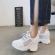 2018 mùa hè mới dày dưới tăng giày net in Hàn Quốc phiên bản của giày thể thao của phụ nữ đan rỗng thở giày thấp