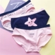 6 vận chuyển màu hồng màu xanh loạt bông quần short tam giác đồ lót nữ mùa hè sản phẩm mới