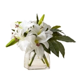 Fangkou Small Vase Mid -Caperave Modern Simple Geometric Transparent Толстая и толстая стеклян