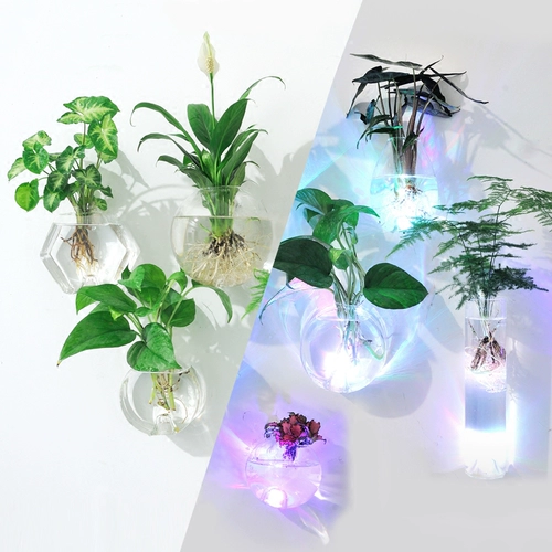 Стеной -Зеленый живой гидрофот объем творческий мини -стеклянный ваза висят прозрачная, простая свежая цветочная бутылка