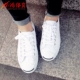 Xiaohong Sports Converse Jack Purcell Converse mở nụ cười giày da vải thấp Plimsolls